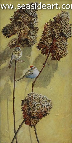 Winter Sparrows