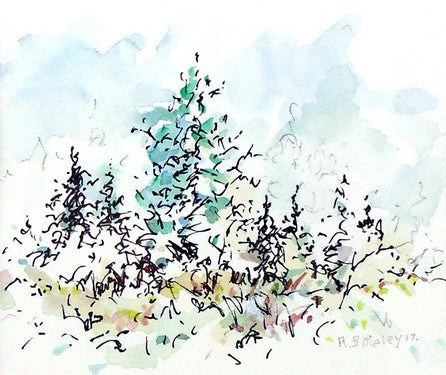 Woods Edge #19 by Roger Shipley - Seaside Art Gallery